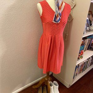 Enfocus Petite Beautiful Red Dress